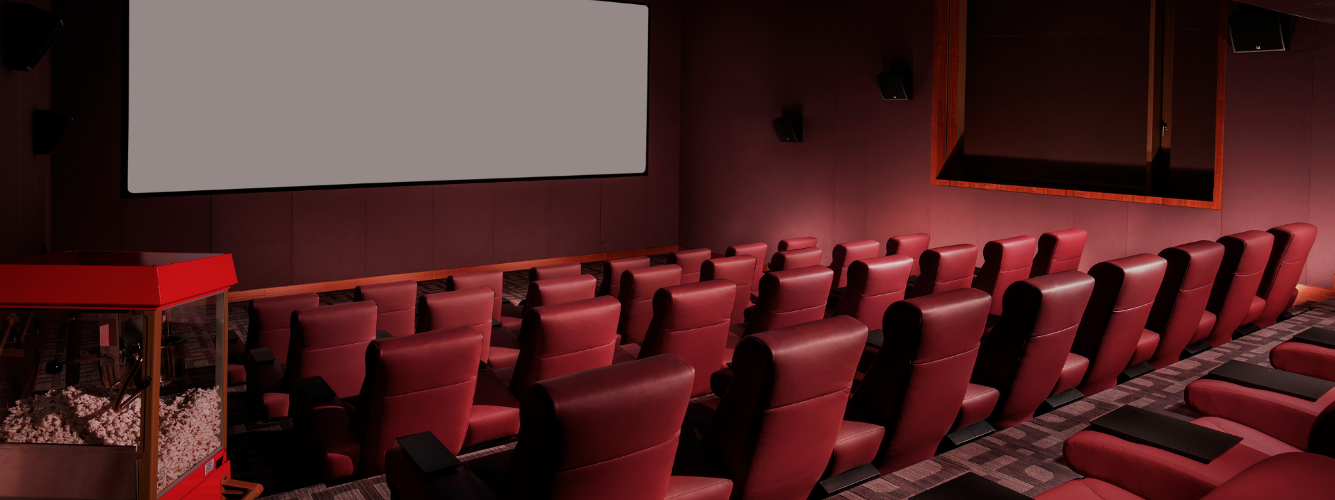 Family Cinema Day